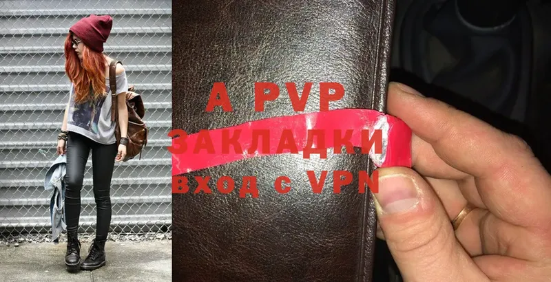 A PVP СК  Гусев 